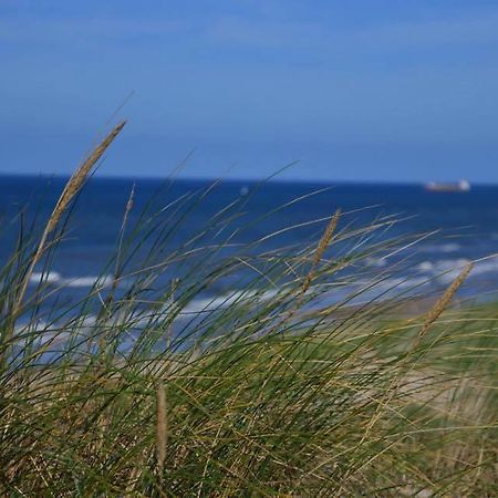 De Blaauboer, Vakantiehuisje Egmond aan Zee Kültér fotó