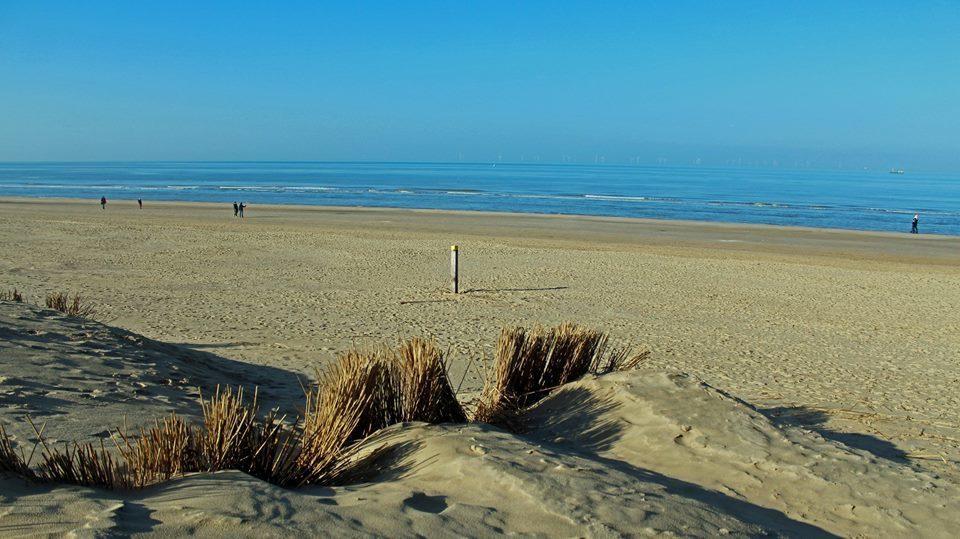 De Blaauboer, Vakantiehuisje Egmond aan Zee Kültér fotó