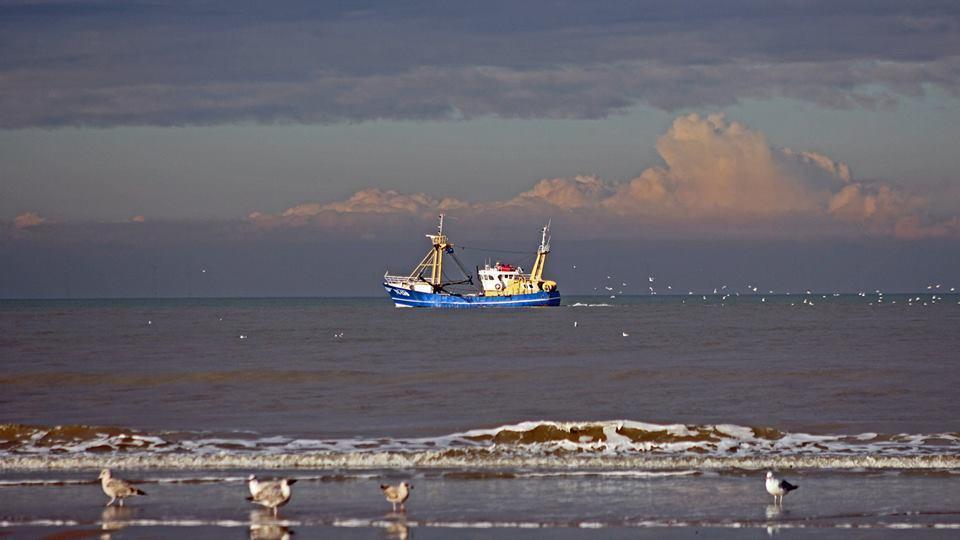 De Blaauboer, Vakantiehuisje Egmond aan Zee Kültér fotó