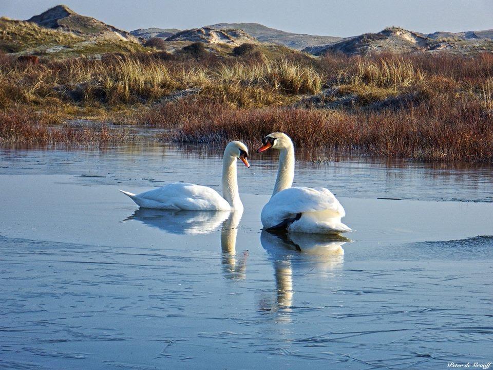 De Blaauboer, Vakantiehuisje Egmond aan Zee Kültér fotó