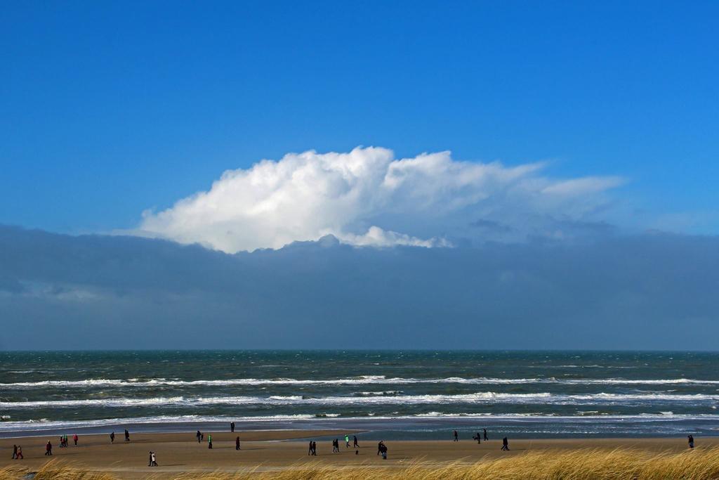 De Blaauboer, Vakantiehuisje Egmond aan Zee Kültér fotó