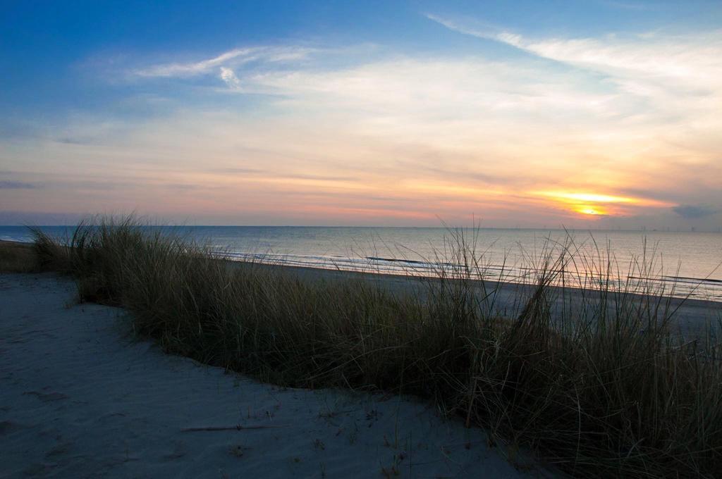 De Blaauboer, Vakantiehuisje Egmond aan Zee Kültér fotó